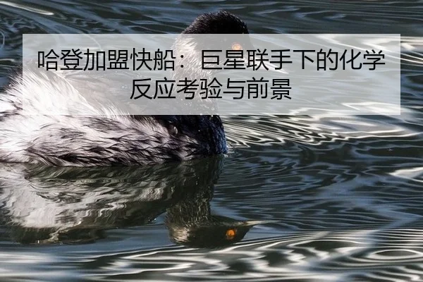 ha-deng-jia-meng-kuai-chuan-ju-xing-lian-shou-xia-de-hua-xue-fan-ying-kao-yan-yu-qian-jing-2-582.jpg