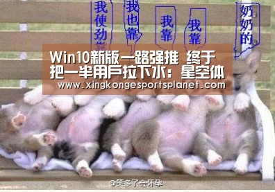 Win10新版一路强推 终于把一半用户拉下水:星空体育(图1) 星空官网