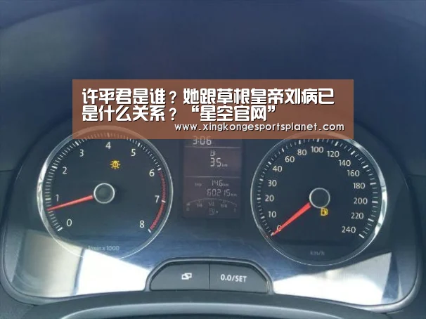 许平君是谁?她跟草根皇帝刘病已是什么关系?“星空官网”(图1) 星空官网