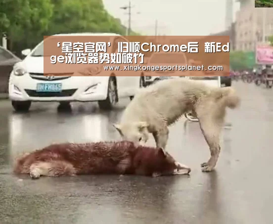 ‘星空官网’归顺Chrome后 新Edge浏览器势如破竹(图3) 星空体育