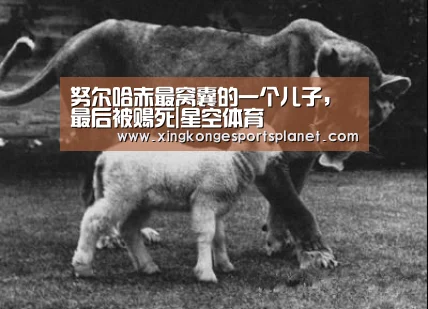 努尔哈赤最窝囊的一个儿子,最后被赐死|星空体育(图2) 星空官网