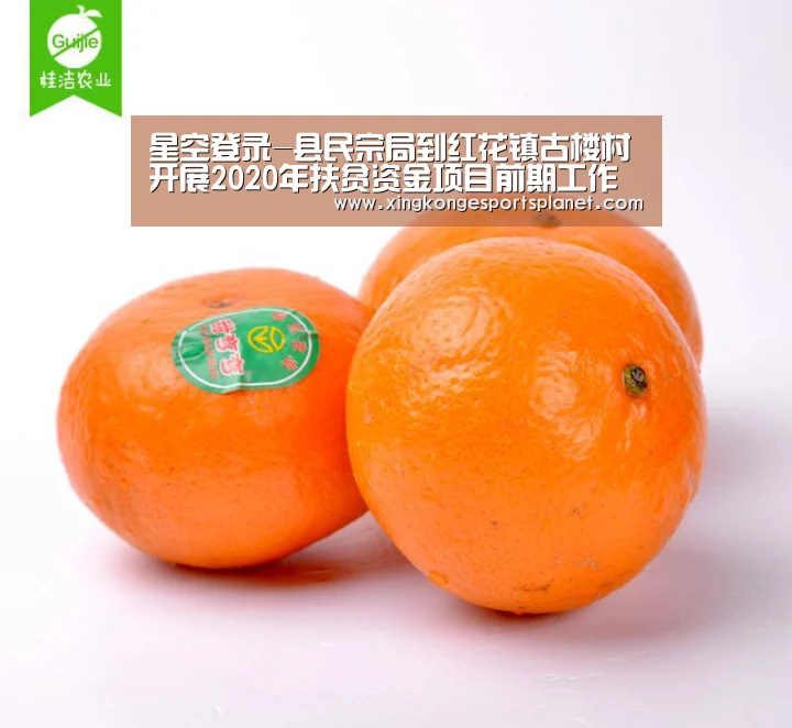 星空登录-县民宗局到红花镇古楼村开展2020年扶贫资金项目前期工作(图3) 星空体育