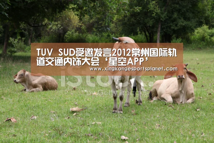 TUV SUD受邀发言2012常州国际轨道交通内饰大会‘星空APP’(图3) 星空APP