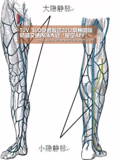 TUV SUD受邀发言2012常州国际轨道交通内饰大会‘星空APP’(图4) 星空APP